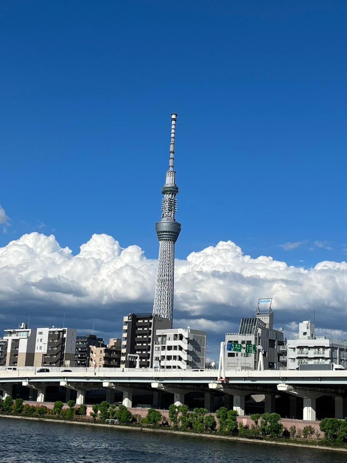 Apartemen 浅草駅から徒歩4分 Wi-fi無料 成田羽田直行 *